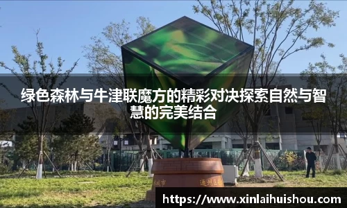 绿色森林与牛津联魔方的精彩对决探索自然与智慧的完美结合
